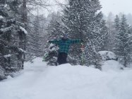 Alastair Brown- Going it Alone 