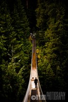 Capilano Suspension Bridge Park Wedding ? Jeff & Leslie 