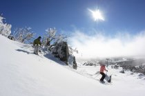 Mitch Gardiner- Perisher Blue 