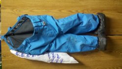 390363.jpeg 390363.jpeg