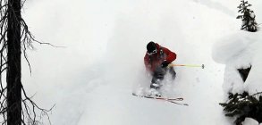 Paddy Graham Season edit ?11 