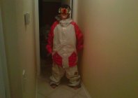 394301.jpeg 394301.jpeg