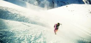 Amplid: The A.R.C. Festive ShrEdit 