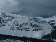 396847.jpeg 396847.jpeg