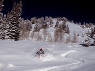 SAGA AND TREW IMPRESSIONS 