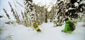 Warren Miller: Like There?s No Tomorrow 