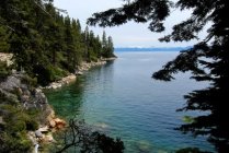 D.L. Bliss Marks 5 Months 