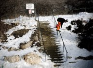 Top to Bottom with Will Wesson 