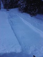 Mushroom bowls 12/27-12/28 