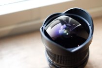 401963.jpeg 401963.jpeg