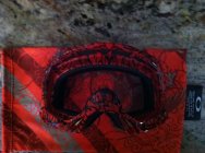 402298.jpeg 402298.jpeg