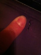 403422.jpeg 403422.jpeg