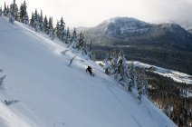 Avalanche Awareness Day Promotes Snow Safety