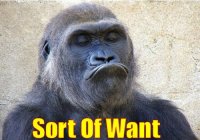 408512.jpeg 408512.jpeg