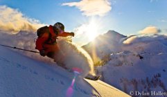 408641.jpeg 408641.jpeg