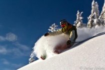 409157.jpeg 409157.jpeg