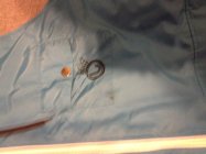 413009.jpeg 413009.jpeg