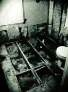 New Season and New Work 