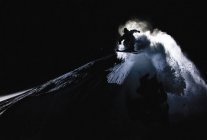 Faction Signs Candide Thovex