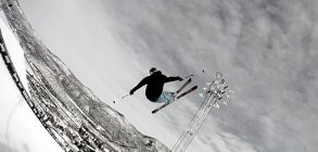 4FRNT Welcomes David Wise 