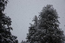 Rain? NOT HERE! Snow? OH YA! 