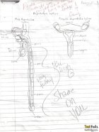 416081.jpeg 416081.jpeg