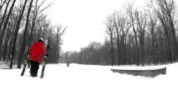 422027.jpeg 422027.jpeg