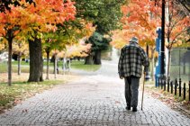 The Best Walkabout Lenses 