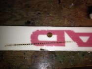 425194.jpeg 425194.jpeg