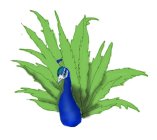 425234.jpeg 425234.jpeg