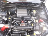 425685.jpeg 425685.jpeg