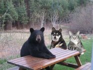 426216.jpeg 426216.jpeg