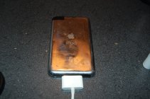 428211.jpeg 428211.jpeg