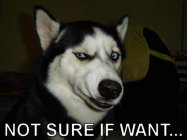 439682.jpeg 439682.jpeg