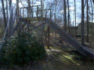 443575.jpeg 443575.jpeg