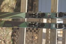 443916.jpeg 443916.jpeg