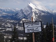 445709.jpeg 445709.jpeg