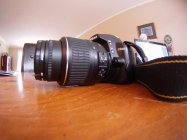 445763.jpeg 445763.jpeg