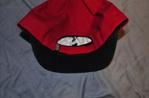 445960.jpeg 445960.jpeg