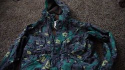 446821.jpeg 446821.jpeg