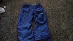 446823.jpeg 446823.jpeg