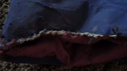 446825.jpeg 446825.jpeg