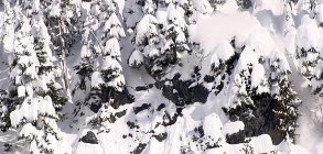 The Blackcomb Story: March 
