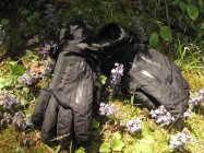 453820.jpeg 453820.jpeg