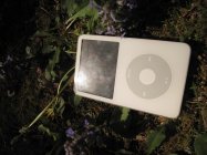 453822.jpeg 453822.jpeg