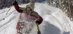 Carl Fortin,Pow,Street and Park 