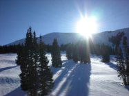 455227.jpeg 455227.jpeg