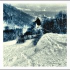 455340.jpeg 455340.jpeg