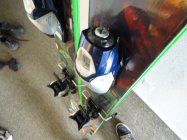 458837.jpeg 458837.jpeg