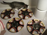 459427.jpeg 459427.jpeg